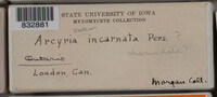 Image Associated With the Occurence